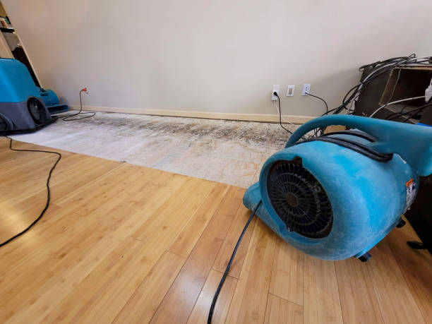Professional Water Damage Repair technician working in Moorestown, NJ